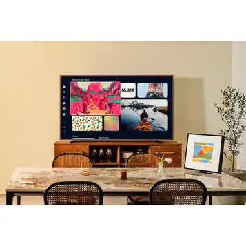 TV MiniLed NeoQled The Frame TQ65LS03FW PRO 165 cm