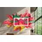 TV MiniLed NeoQled The Frame TQ75LS03FW PRO 190 cm