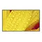 multimedia_47-hex06nec_Onliz_2