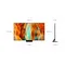 TV MiniLed NeoQled TQ65QN74F 165 cm